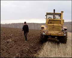 Два района Кузбасса закончили посев зерновых и зернобобовых культур